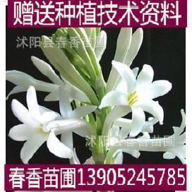 坦荡做人无愧于心句子