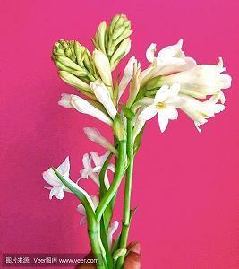 一句伤感到心坎上的话