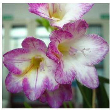 中午阳光明媚的句子朋友圈推荐36句