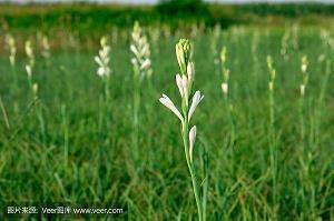 对一个人伤心失望的话 心疼还是手疼已经分不清了