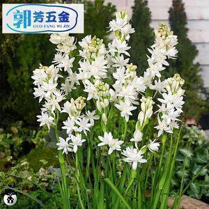 幽默开心的句子