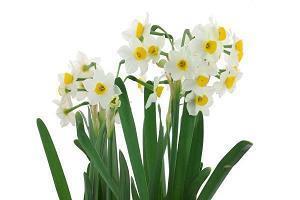 初雪抖音最火说说文案最新(精选83句)