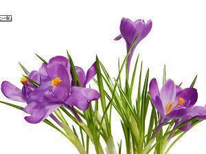 形容对情侣失望的句子