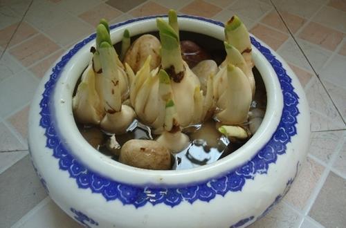 关于牵挂的作文范文450字700字八篇