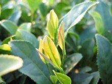 不理不睬冷淡经典句子 你忽冷忽热令我不知所措