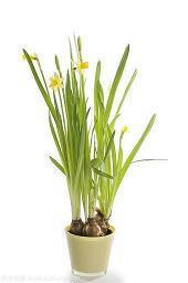 2021夏至朋友圈文案句子65句