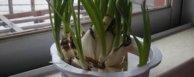 一句话简单干净的爱情句子 遇见你是命运的安排