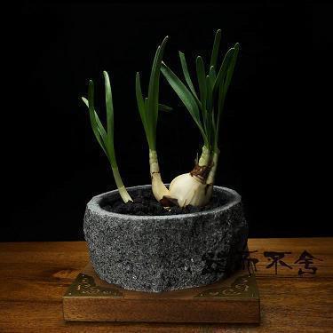 抖音2021最后一天文案说说(精选95句)