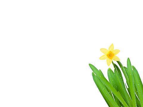 关于夏至谚语 夏至节气朋友圈文案合集57句