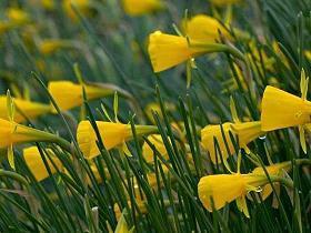 2022高考完毕后的心情短语感叹高考完毕的语句