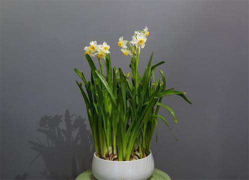 心软的说说带图片