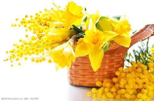 写进你心坎的句子