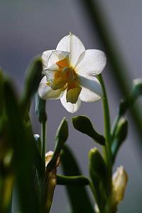 告别2021年迎接2022年唯美语录(精选100句)