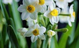 企业员工工作试用期满转正自我鉴定评语