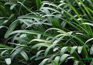 形容女人对爱情失望的句子