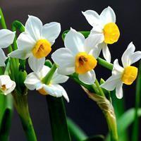 元气满满可爱的句子精选(精选68句)