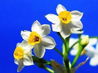 小雪节气文案祝福语(精选79句)