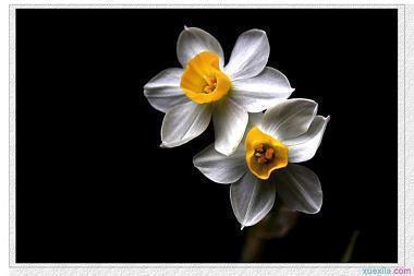 【热门】温柔到爆的晚安句子 晚安的句子唯美短句推荐81句