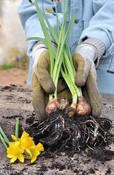 人生需要沉淀经典话句 需要沉淀自己经典话句
