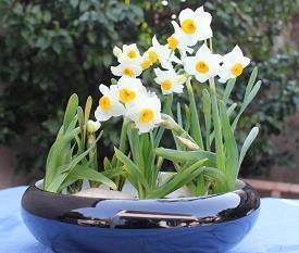 在家无聊的心烦句子