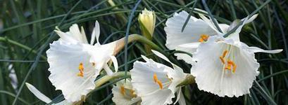 2021高考励志短句子文艺