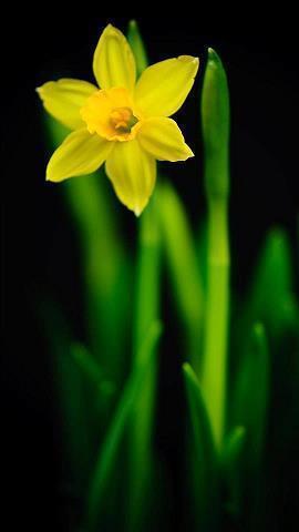 对自己的父母好失望的句子