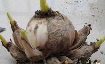 人生快乐感悟的句子(精选18句)