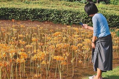 感恩节的暖心文案短句(精选76句)