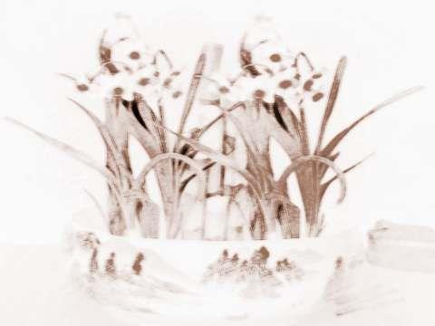 形容父女开心的句子