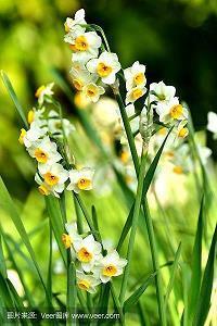 关于爱情伤感的唯美句子