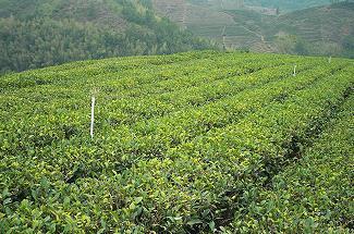 【精选】沙雕又可爱的朋友圈文案，朋友圈的有趣文案汇编90句