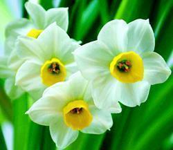 对朋友和家庭人失望的句子