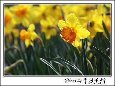 十句话穿透人心失望的句子