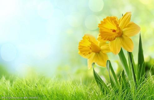 2021年底最后一天朋友圈文案(精选61句)