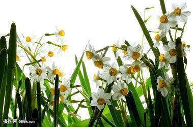 六一儿童节祝福语视频文案汇总96句