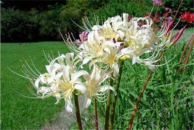 抖音告别2020伤感句子文案