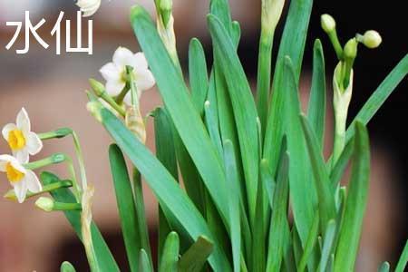 形容骑马开心的句子 骑马的唯美句子