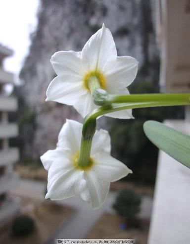 人生感悟经典句子2020