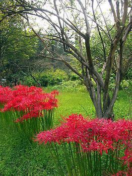 感悟人生励志句子(74句)