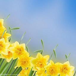 2021年发朋友圈句子81句