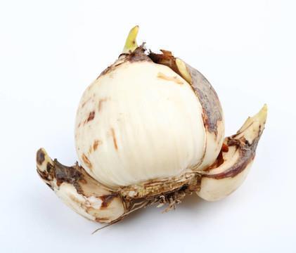 发现有白发的感悟 有白发怎么发朋友圈幽默