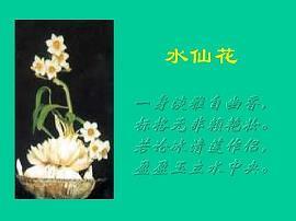 外面下着雨的伤感句子84句