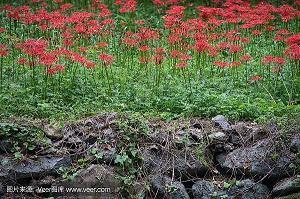 让自己开心刺激小人的句子