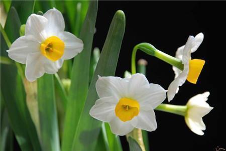 对宝贝的成长寄语简短 写给宝贝的话