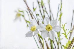 2021秋天的第一杯奶茶暖心个性说说(精选76句)