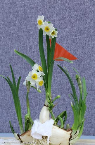 中秋节适合发朋友圈的暖心文案(精选113句)