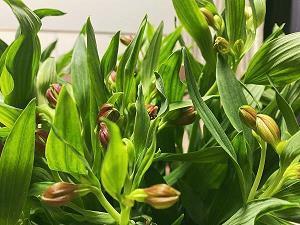 2021谷雨节气说说语录71句