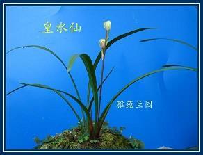 再见十月你好十一月年度最火的祝福寄语(精选48句)
