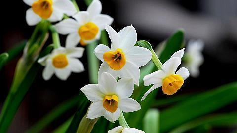 2021母亲节简短独特问候语