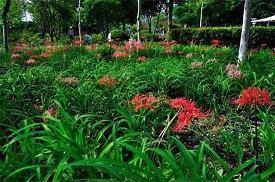 描述心情不好的句子43句